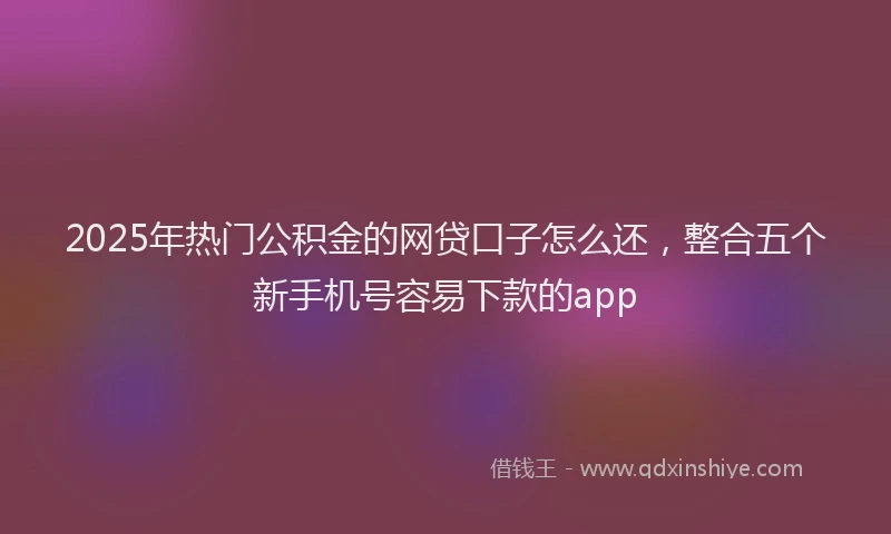 2025年热门公积金的网贷口子怎么还，整合五个新手机号容易下款的app
