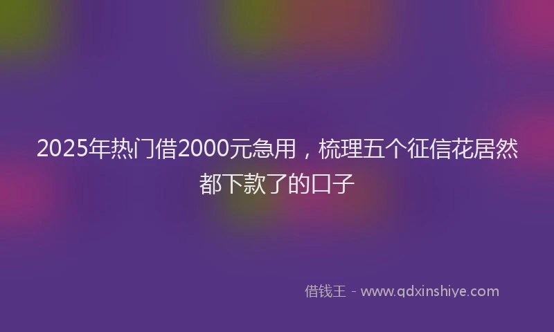 2025年热门借2000元急用，梳理五个征信花居然都下款了的口子