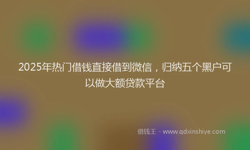 2025年热门借钱直接借到微信，归纳五个黑户可以做大额贷款平台