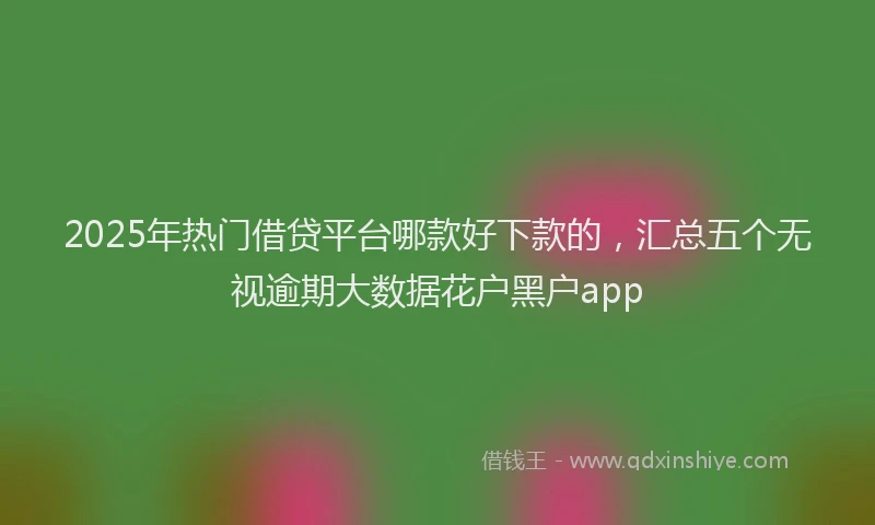2025年热门借贷平台哪款好下款的，汇总五个无视逾期大数据花户黑户app