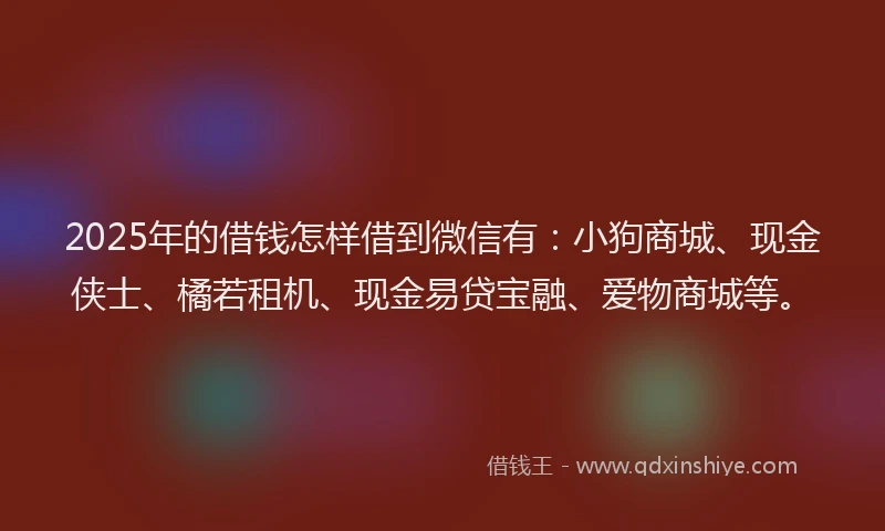 2025年的借钱怎样借到微信有：小狗商城、现金侠士、橘若租机、现金易贷宝融、爱物商城等。