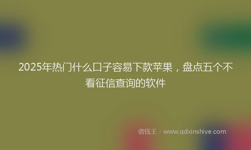 2025年热门什么口子容易下款苹果，盘点五个不看征信查询的软件