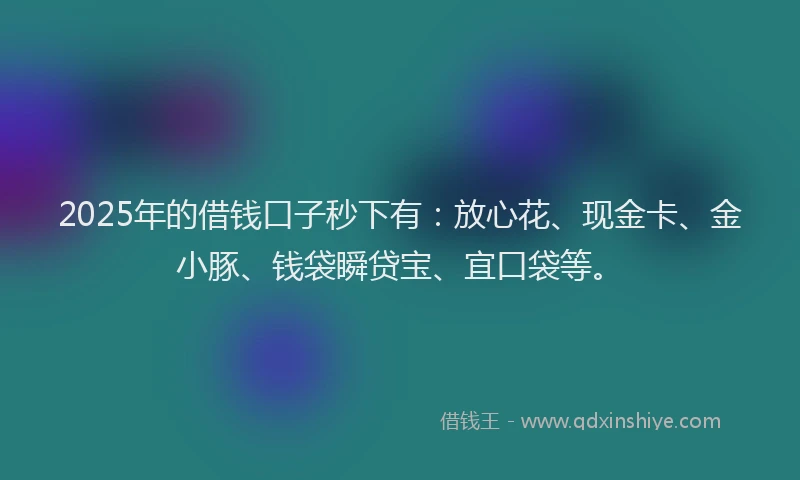 2025年的借钱口子秒下有：放心花、现金卡、金小豚、钱袋瞬贷宝、宜口袋等。