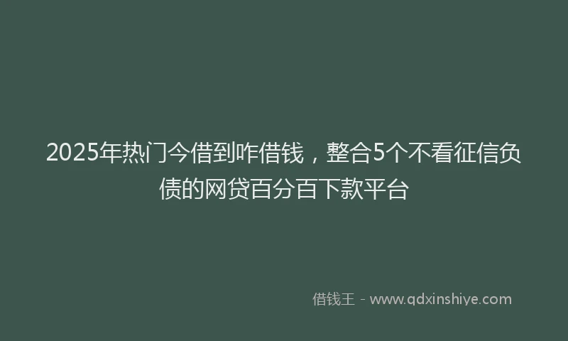 2025年热门今借到咋借钱，整合5个不看征信负债的网贷百分百下款平台