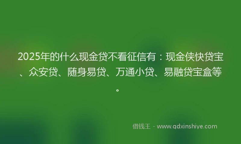 2025年的什么现金贷不看征信有：现金侠快贷宝、众安贷、随身易贷、万通小贷、易融贷宝盒等。