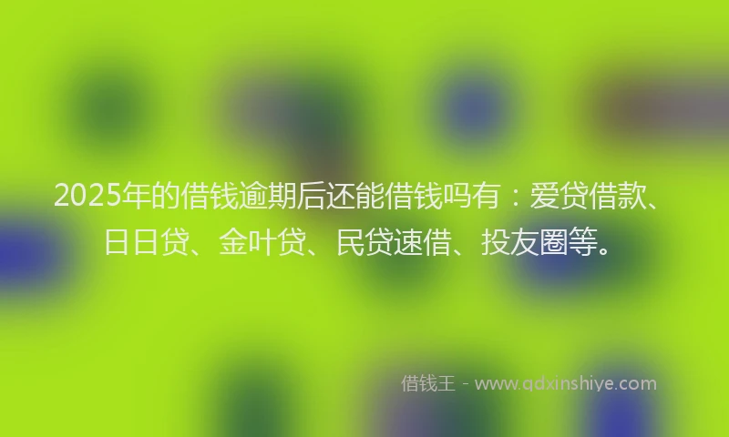 2025年的借钱逾期后还能借钱吗有：爱贷借款、日日贷、金叶贷、民贷速借、投友圈等。