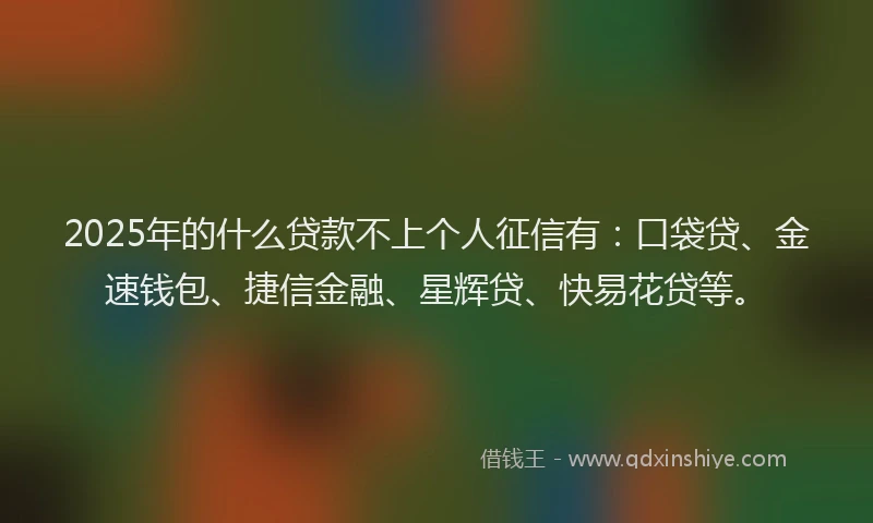 2025年的什么贷款不上个人征信有：口袋贷、金速钱包、捷信金融、星辉贷、快易花贷等。