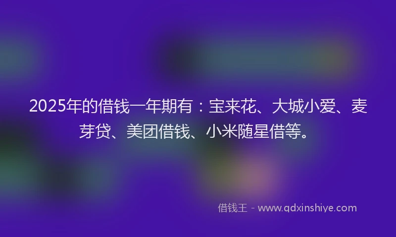 2025年的借钱一年期有：宝来花、大城小爱、麦芽贷、美团借钱、小米随星借等。