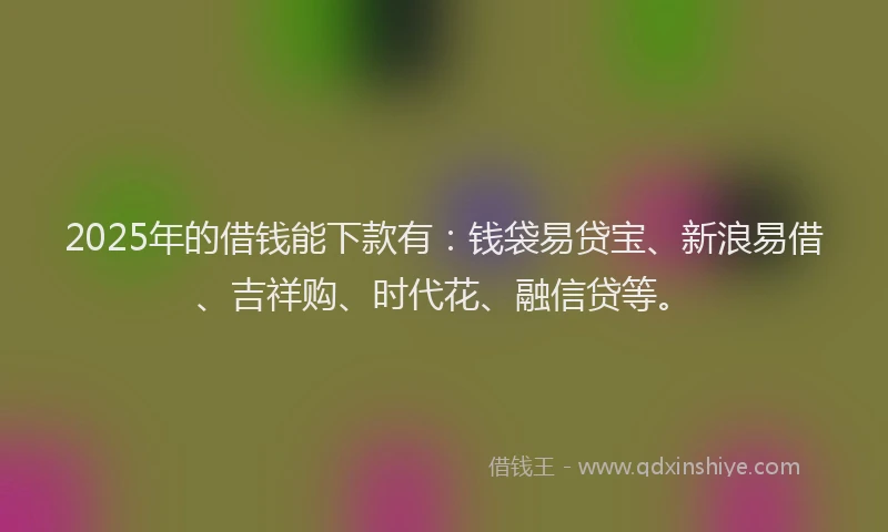 2025年的借钱能下款有：钱袋易贷宝、新浪易借、吉祥购、时代花、融信贷等。