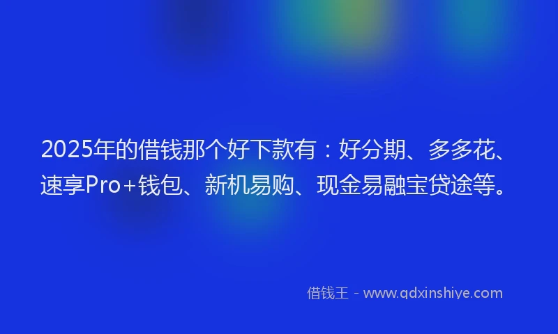 2025年的借钱那个好下款有：好分期、多多花、速享Pro+钱包、新机易购、现金易融宝贷途等。