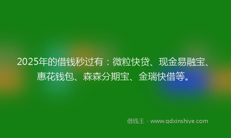 2025年的借钱秒过有：微粒快贷、现金易融宝、惠花钱包、森森分期宝、金瑞快借等。