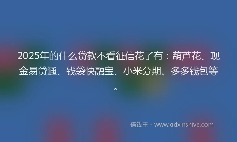 2025年的什么贷款不看征信花了有：葫芦花、现金易贷通、钱袋快融宝、小米分期、多多钱包等。