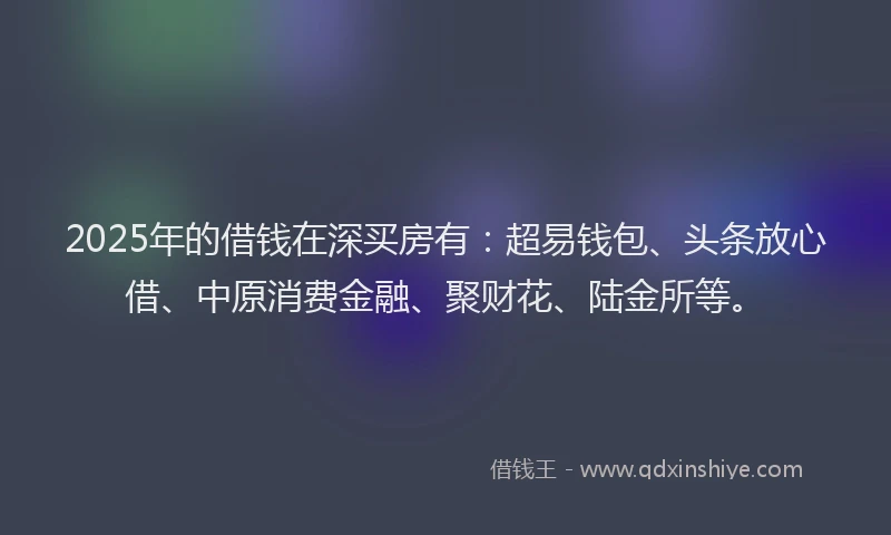 2025年的借钱在深买房有：超易钱包、头条放心借、中原消费金融、聚财花、陆金所等。