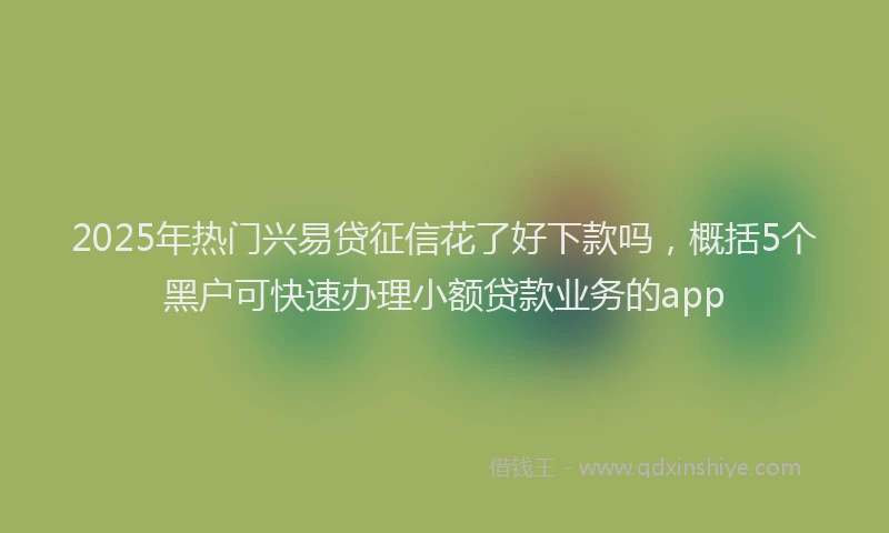 2025年热门兴易贷征信花了好下款吗，概括5个黑户可快速办理小额贷款业务的app