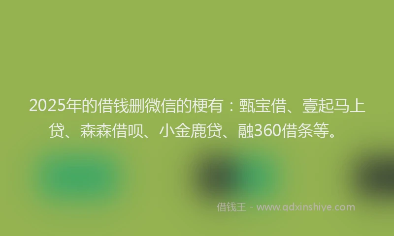 2025年的借钱删微信的梗有：甄宝借、壹起马上贷、森森借呗、小金鹿贷、融360借条等。