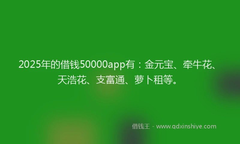 2025年的借钱50000app有：金元宝、牵牛花、天浩花、支富通、萝卜租等。