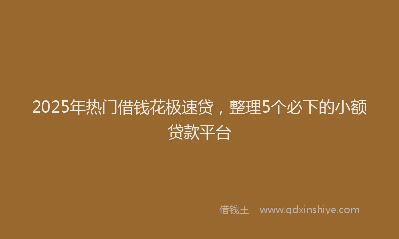 2025年热门借钱花极速贷，整理5个必下的小额贷款平台
