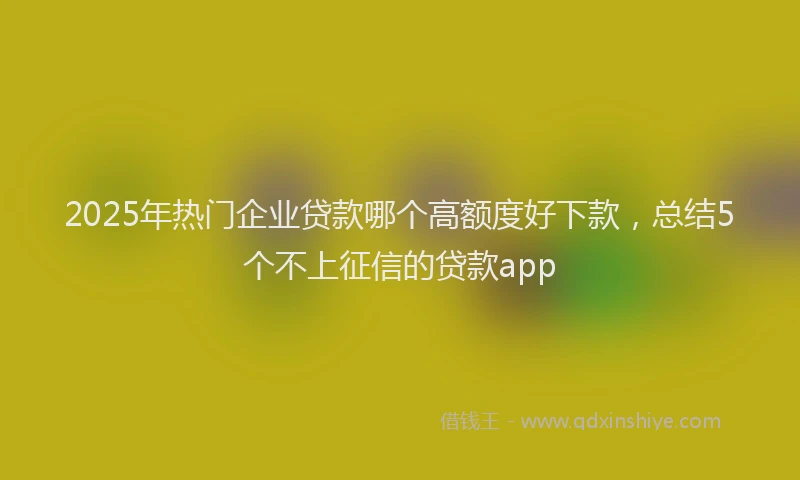 2025年热门企业贷款哪个高额度好下款，总结5个不上征信的贷款app