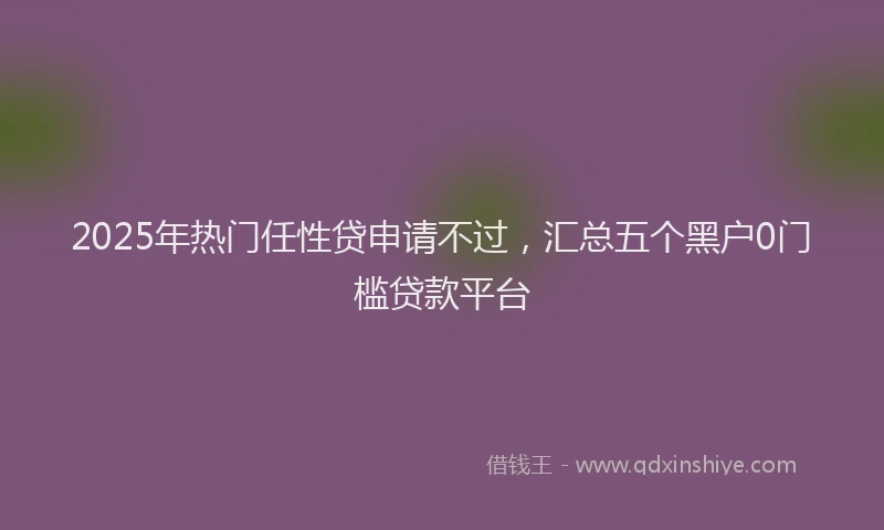 2025年热门任性贷申请不过，汇总五个黑户0门槛贷款平台