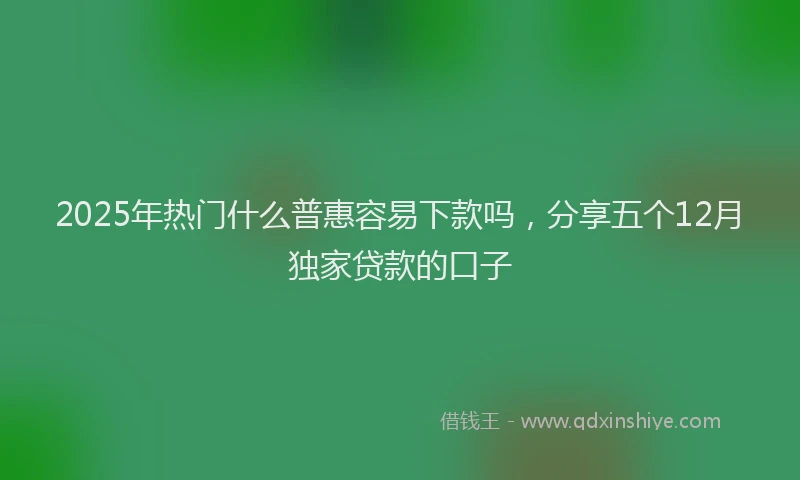 2025年热门什么普惠容易下款吗，分享五个12月独家贷款的口子