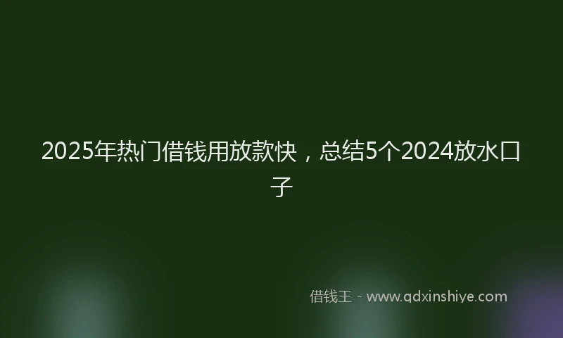 2025年热门借钱用放款快，总结5个2024放水口子