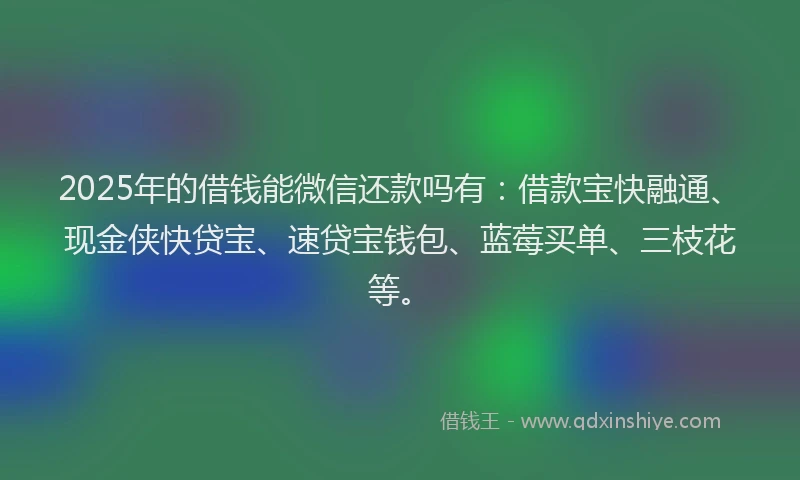 2025年的借钱能微信还款吗有：借款宝快融通、现金侠快贷宝、速贷宝钱包、蓝莓买单、三枝花等。