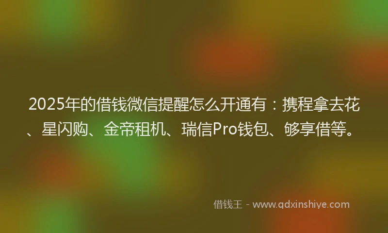 2025年的借钱微信提醒怎么开通有：携程拿去花、星闪购、金帝租机、瑞信Pro钱包、够享借等。