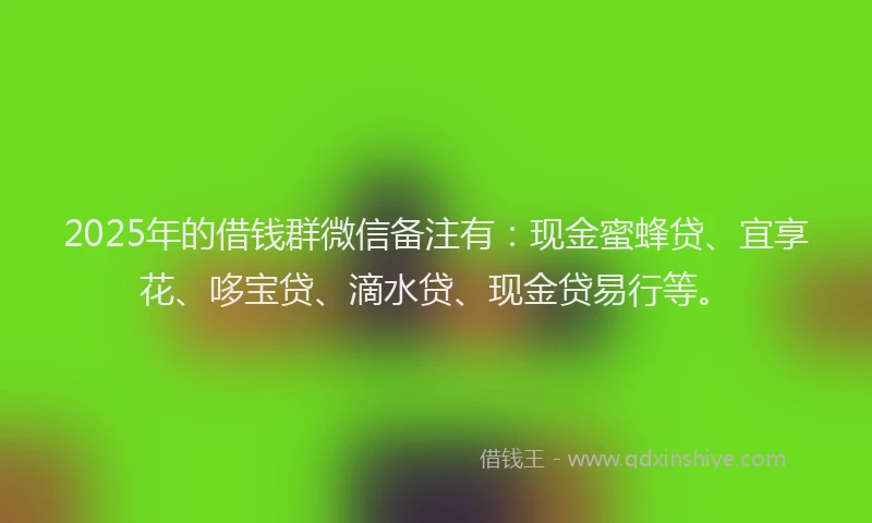 2025年的借钱群微信备注有：现金蜜蜂贷、宜享花、哆宝贷、滴水贷、现金贷易行等。