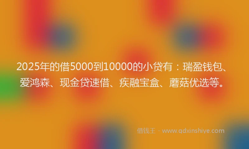 2025年的借5000到10000的小贷有：瑞盈钱包、爱鸿森、现金贷速借、疾融宝盒、蘑菇优选等。