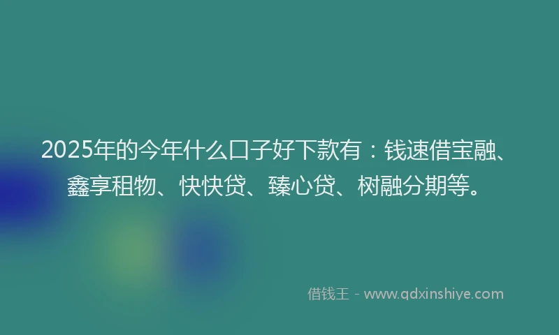2025年的今年什么口子好下款有：钱速借宝融、鑫享租物、快快贷、臻心贷、树融分期等。