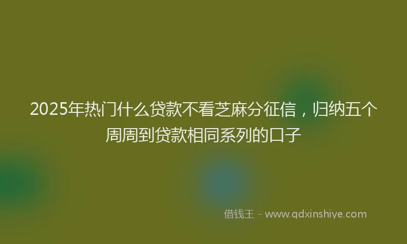 2025年热门什么贷款不看芝麻分征信，归纳五个周周到贷款相同系列的口子