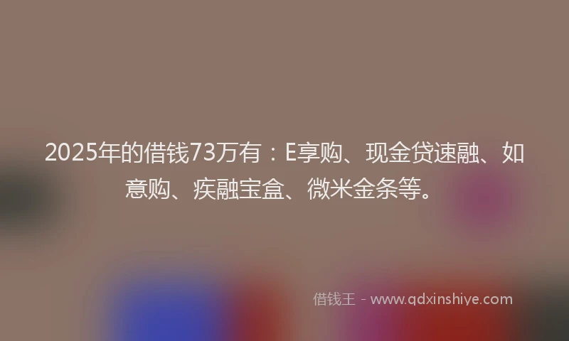 2025年的借钱73万有：E享购、现金贷速融、如意购、疾融宝盒、微米金条等。