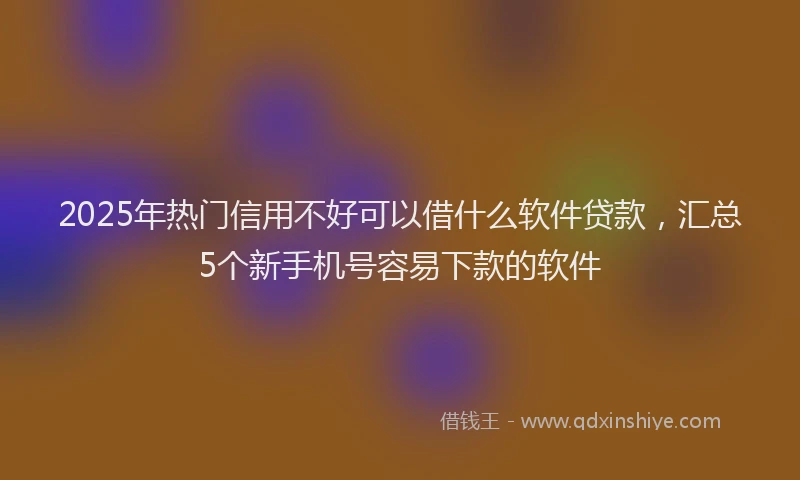 2025年热门信用不好可以借什么软件贷款，汇总5个新手机号容易下款的软件