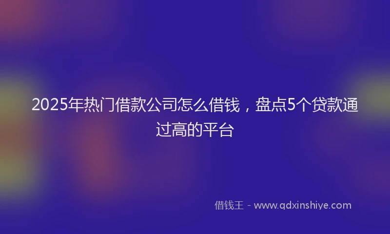2025年热门借款公司怎么借钱，盘点5个贷款通过高的平台