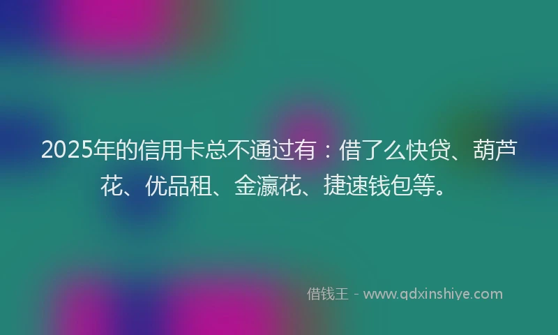 2025年的信用卡总不通过有：借了么快贷、葫芦花、优品租、金瀛花、捷速钱包等。