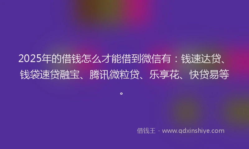 2025年的借钱怎么才能借到微信有：钱速达贷、钱袋速贷融宝、腾讯微粒贷、乐享花、快贷易等。