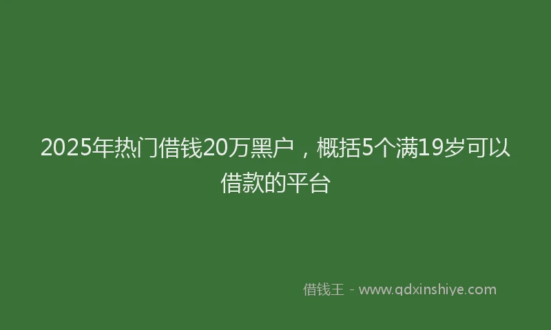 2025年热门借钱20万黑户，概括5个满19岁可以借款的平台
