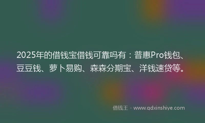 2025年的借钱宝借钱可靠吗有：普惠Pro钱包、豆豆钱、萝卜易购、森森分期宝、洋钱速贷等。