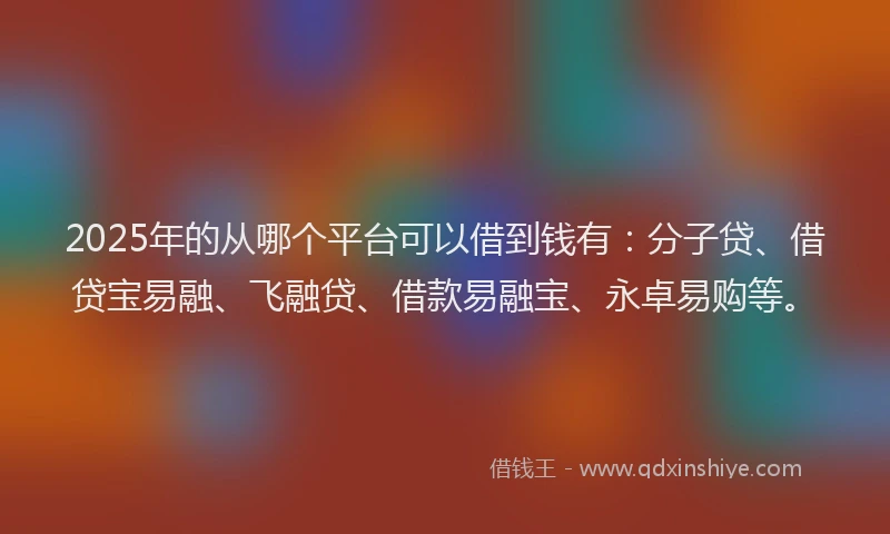 2025年的从哪个平台可以借到钱有：分子贷、借贷宝易融、飞融贷、借款易融宝、永卓易购等。