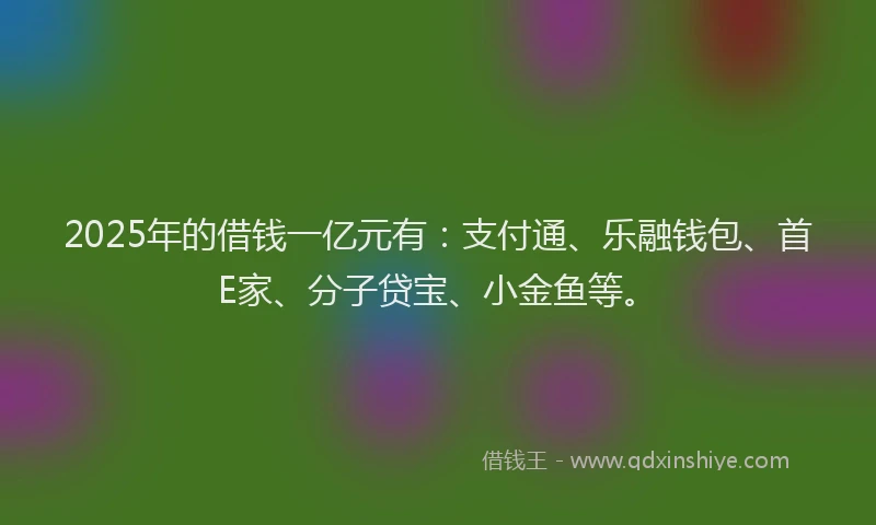2025年的借钱一亿元有：支付通、乐融钱包、首E家、分子贷宝、小金鱼等。