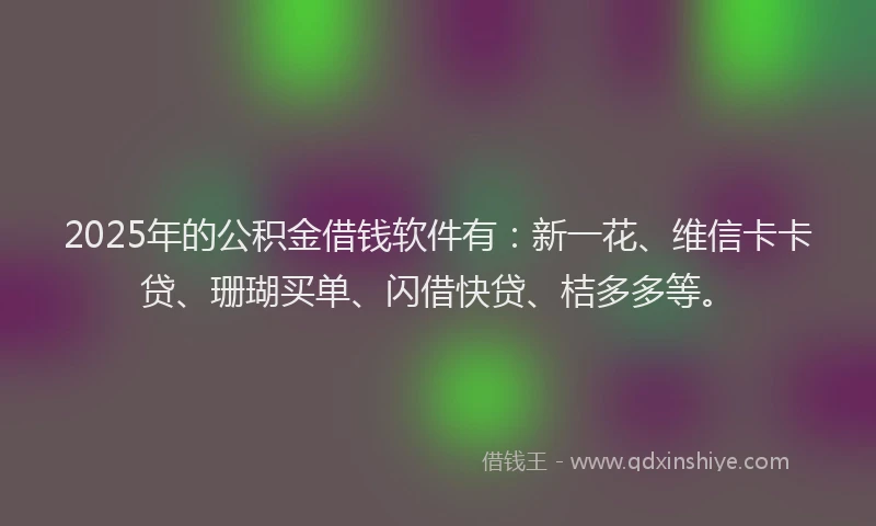 2025年的公积金借钱软件有：新一花、维信卡卡贷、珊瑚买单、闪借快贷、桔多多等。