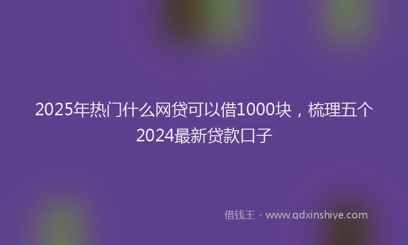 2025年热门什么网贷可以借1000块，梳理五个2024最新贷款口子