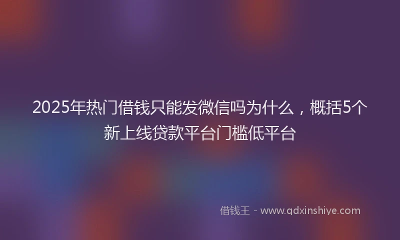2025年热门借钱只能发微信吗为什么，概括5个新上线贷款平台门槛低平台