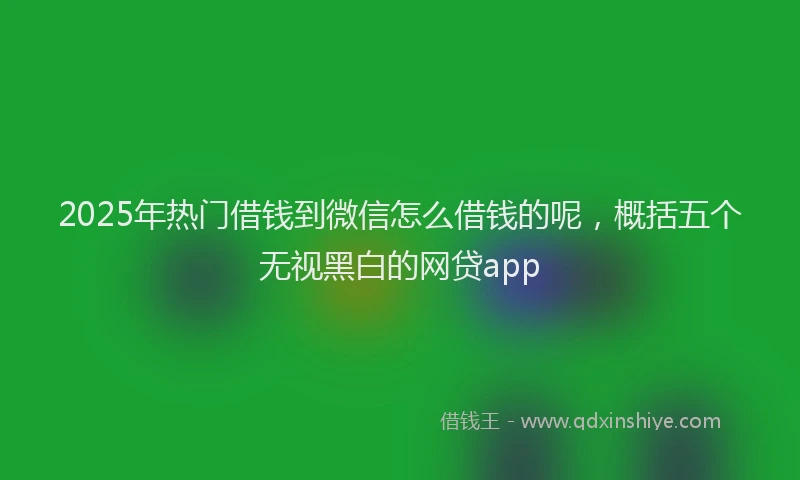 2025年热门借钱到微信怎么借钱的呢，概括五个无视黑白的网贷app