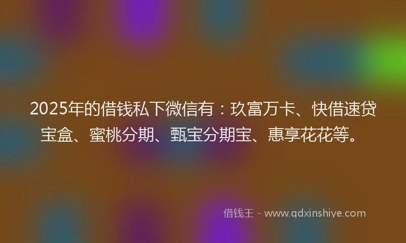 2025年的借钱私下微信有：玖富万卡、快借速贷宝盒、蜜桃分期、甄宝分期宝、惠享花花等。