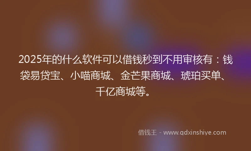 2025年的什么软件可以借钱秒到不用审核有：钱袋易贷宝、小喵商城、金芒果商城、琥珀买单、千亿商城等。