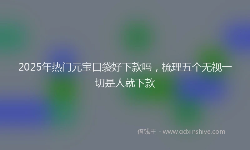 2025年热门元宝口袋好下款吗，梳理五个无视一切是人就下款