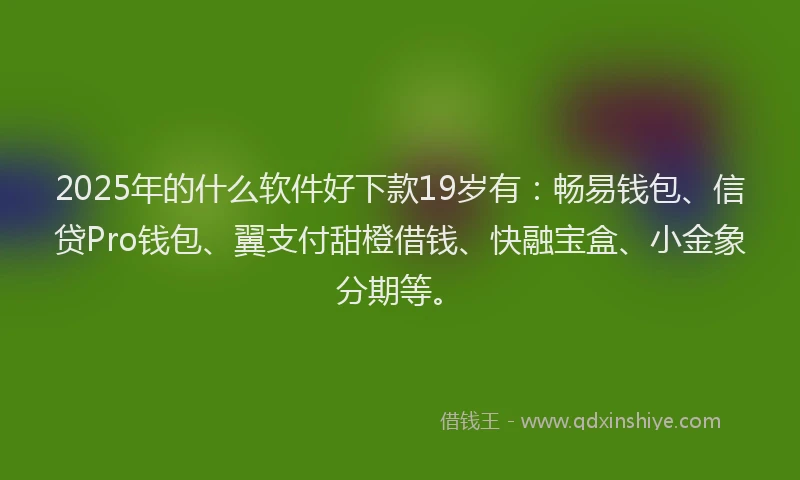 2025年的什么软件好下款19岁有：畅易钱包、信贷Pro钱包、翼支付甜橙借钱、快融宝盒、小金象分期等。