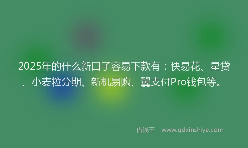2025年的什么新口子容易下款有：快易花、星贷、小麦粒分期、新机易购、翼支付Pro钱包等。