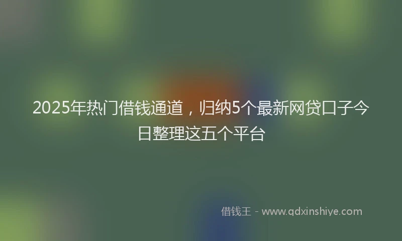 2025年热门借钱通道，归纳5个最新网贷口子今日整理这五个平台